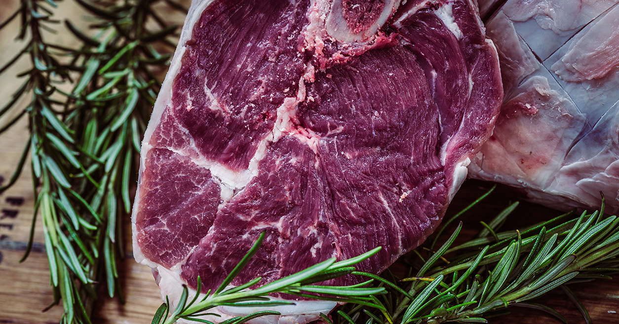 Modius Diet hacks: which food group should you cut out for the best results?