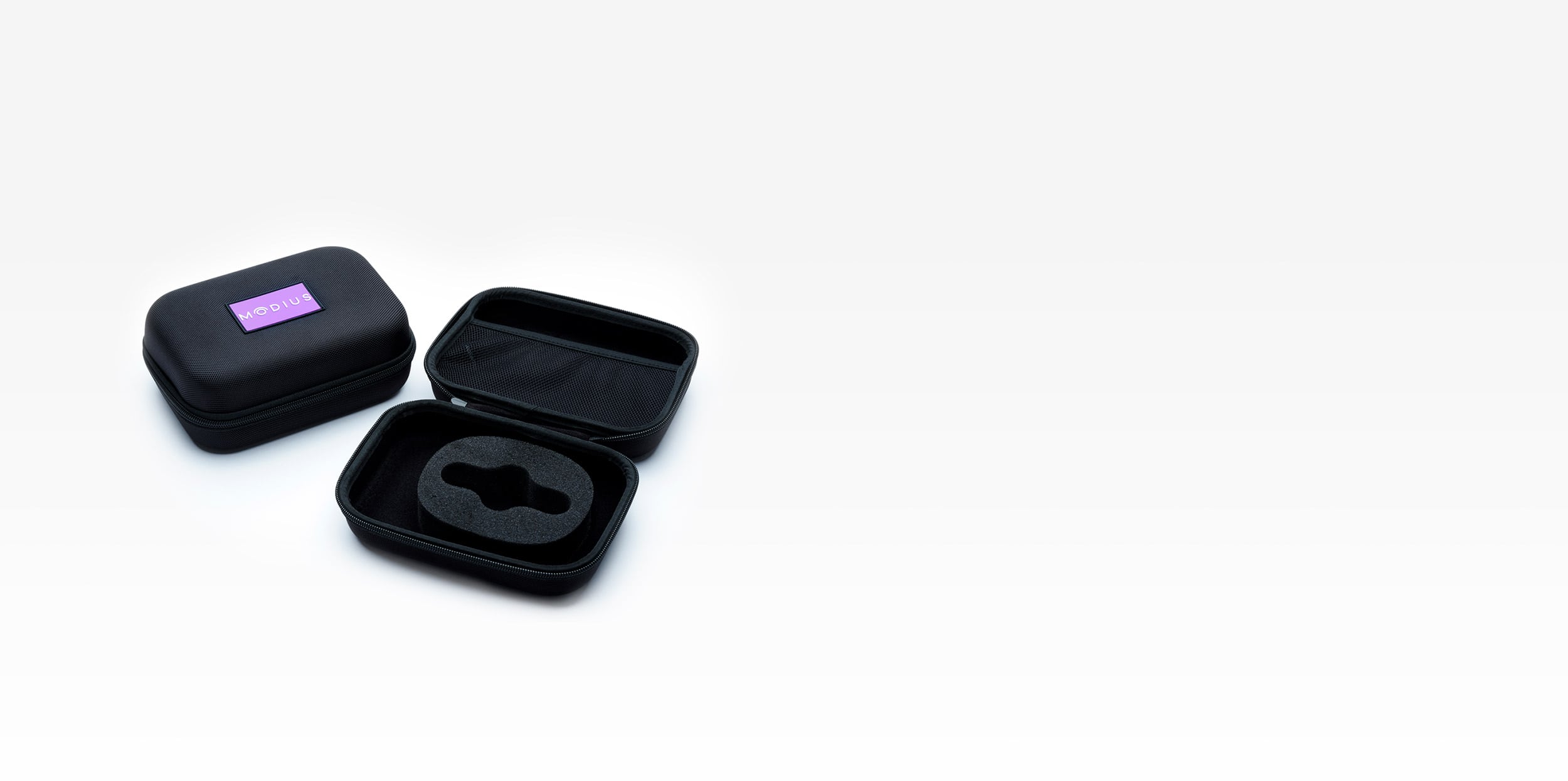 Modius Carry Case