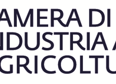 Logo cciaa verona