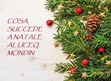 Natale 2024 mondin sito2