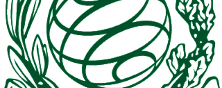 OPEN WEEK UNIMARCONI:INCONTRI, SERVIZI E OPPORTUNITA'