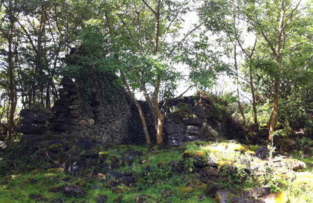 The Quiet Man Cottage today