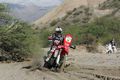 Motul's Armada pursuing its route in the Dakar 2011
