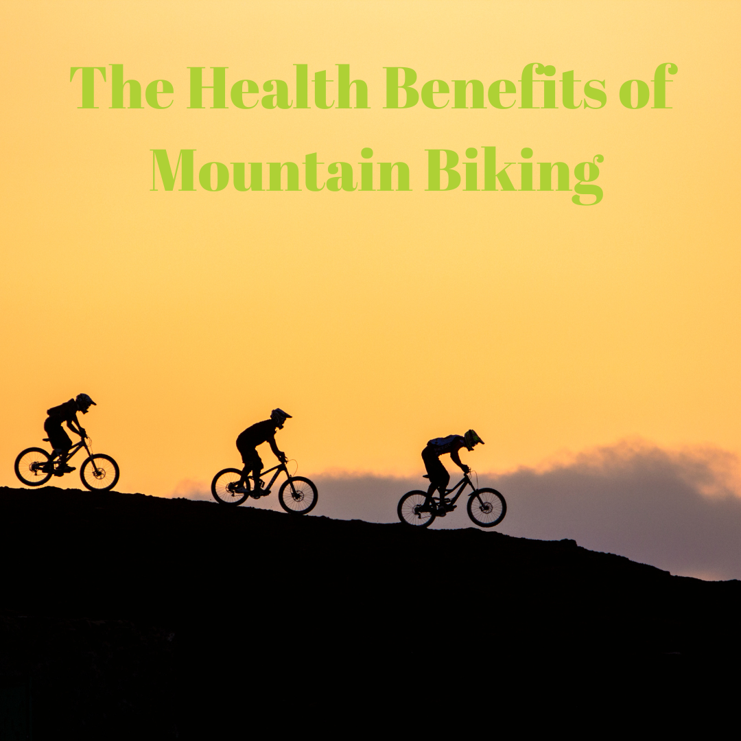 body 1 What are the Physical Benefits of Mountain Biking: Boost Your Health