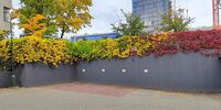 Parking Dykova 2514/3 photo