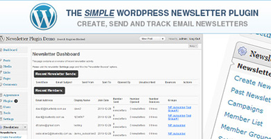 Wordpress plugin newsletter