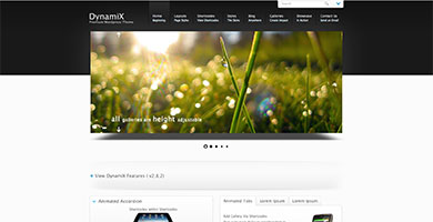 Th&egrave;me Dynamix