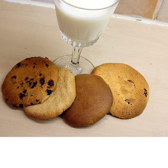 Easy Low Calorie Protein Cookies