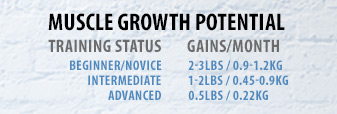 Muscle Gain Potentials