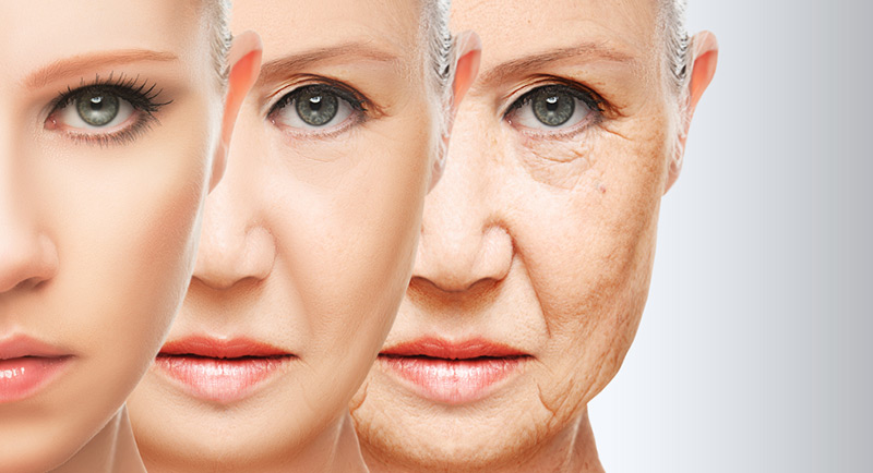 Slow Ageing
