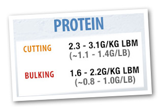 protein
