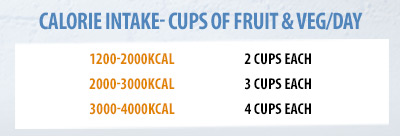 Calorie intake to cups of fruit table