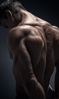 Reflective Bodybuilder