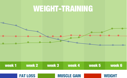 Fat Loss