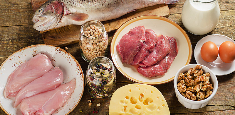 protein sources
