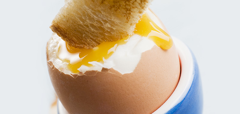 Egg Yolk