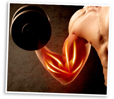 Man Lifting Weights