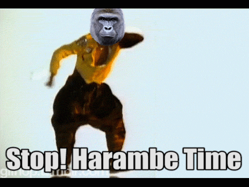 Harambe
