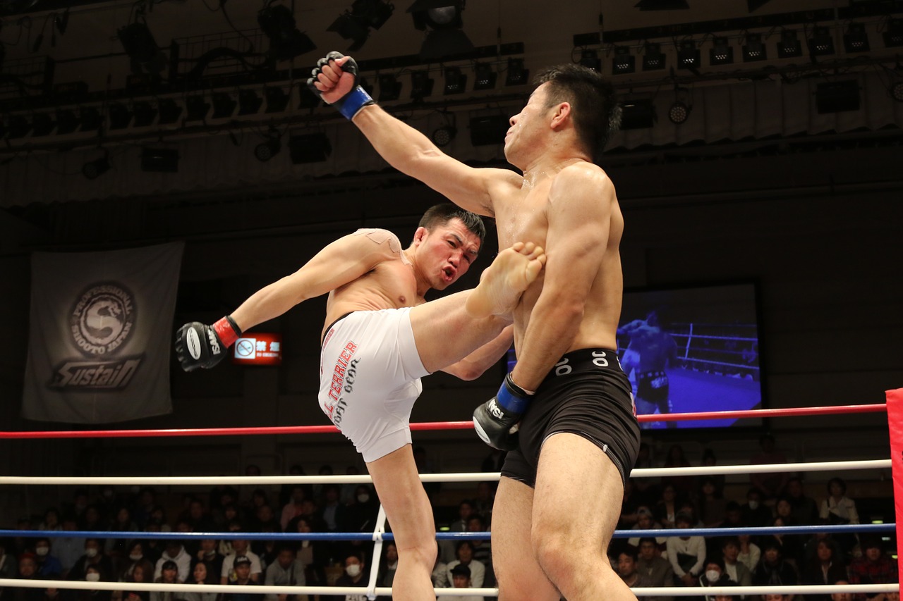 Olympic Combat Sport