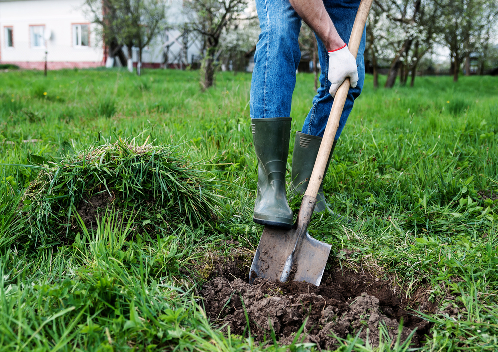 Digging