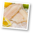 Talipa Fillets