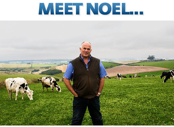Meet Noel