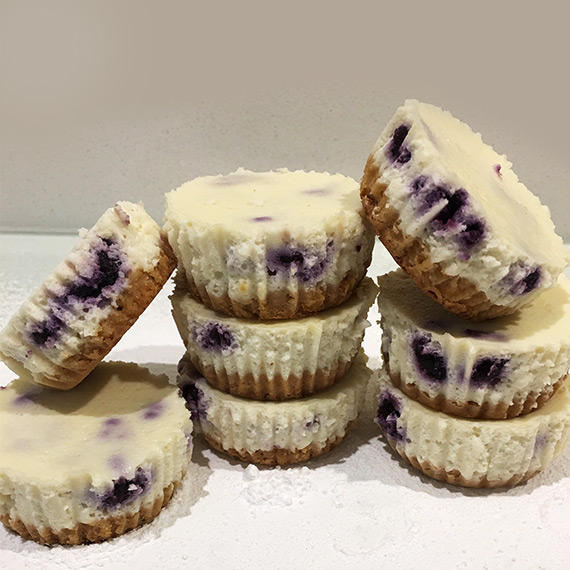 Winter Blueberry & Coconut Party Protein Cheesecakes