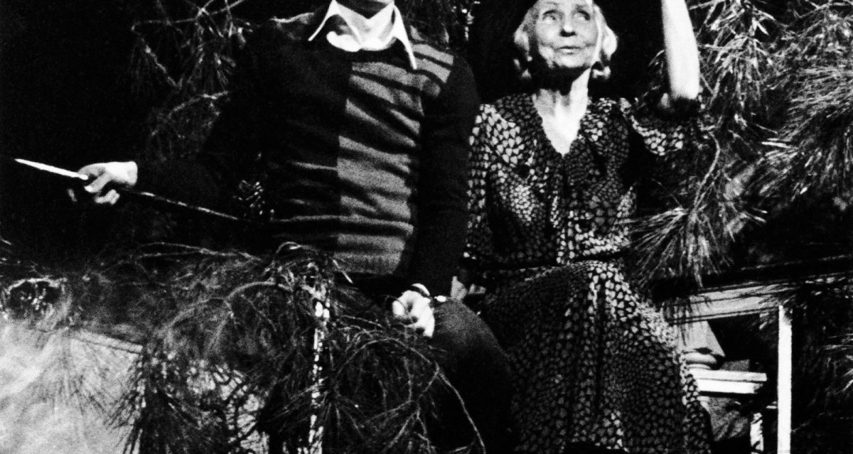 madeleine renaud dans harold et maud harold et maude mus 233 e yves saint laurent paris madeleine renaud dans harold et maud harold et maude mus 233 e yves saint laurent paris