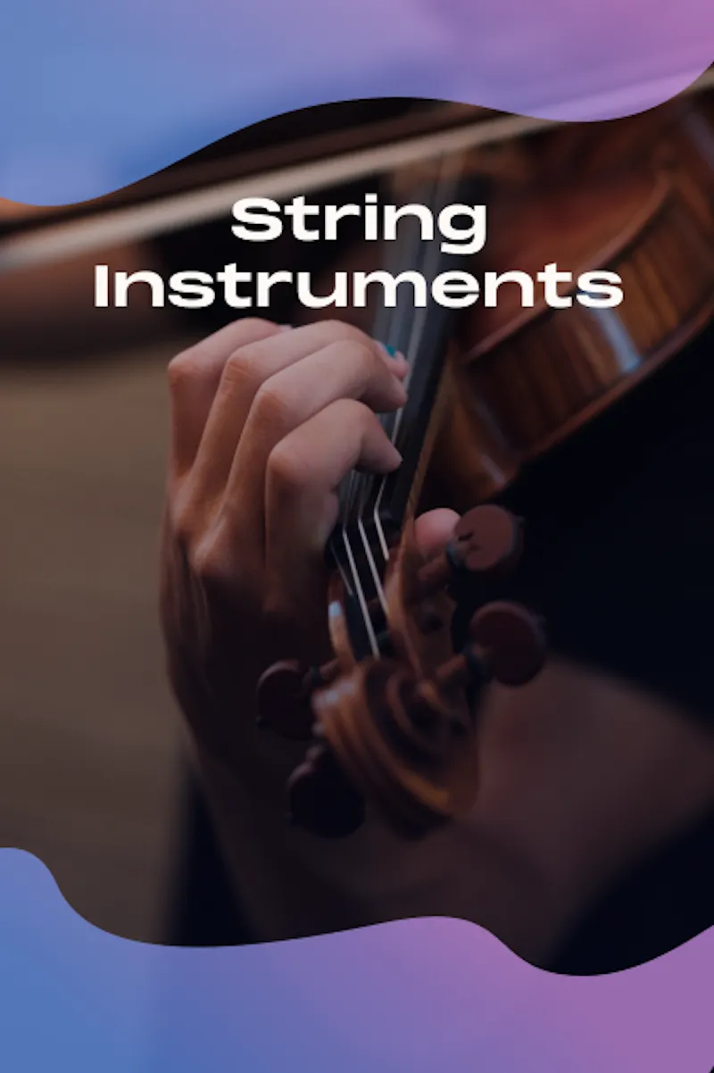 Violin