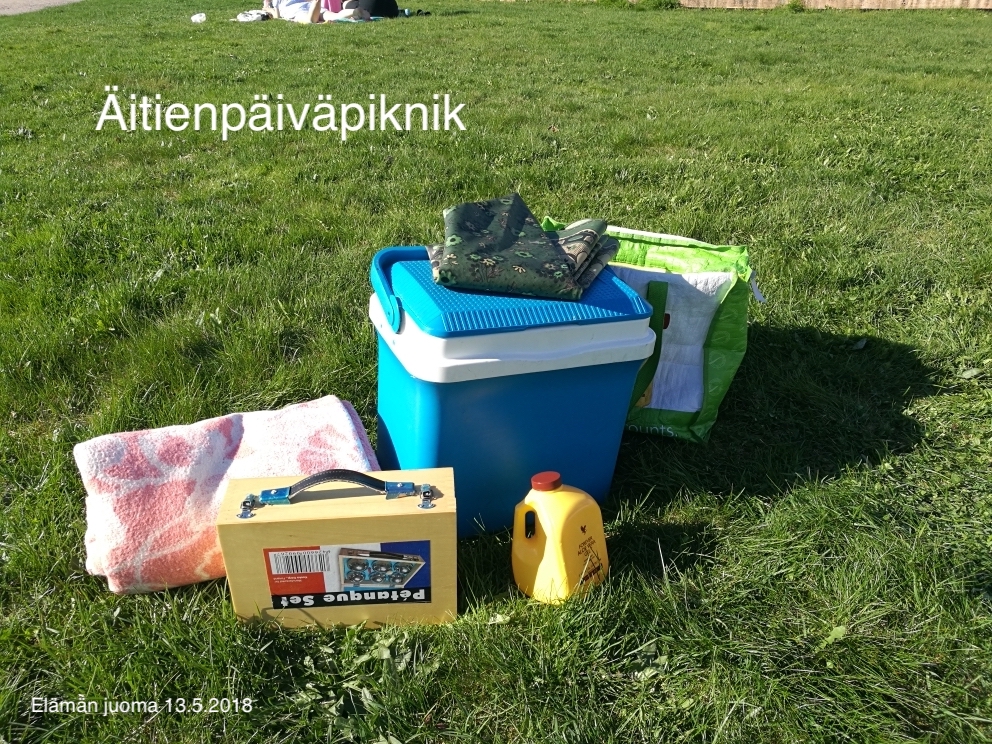 Aloe Vera Gel 13.5.2018 piknik blogi.jpeg