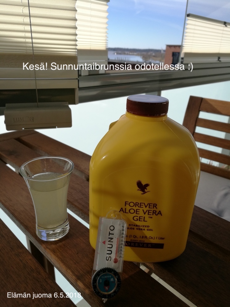 Aloe Vera Gel 6.5.2018 blogi.jpeg