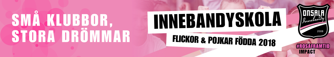 Innebandyskola webb