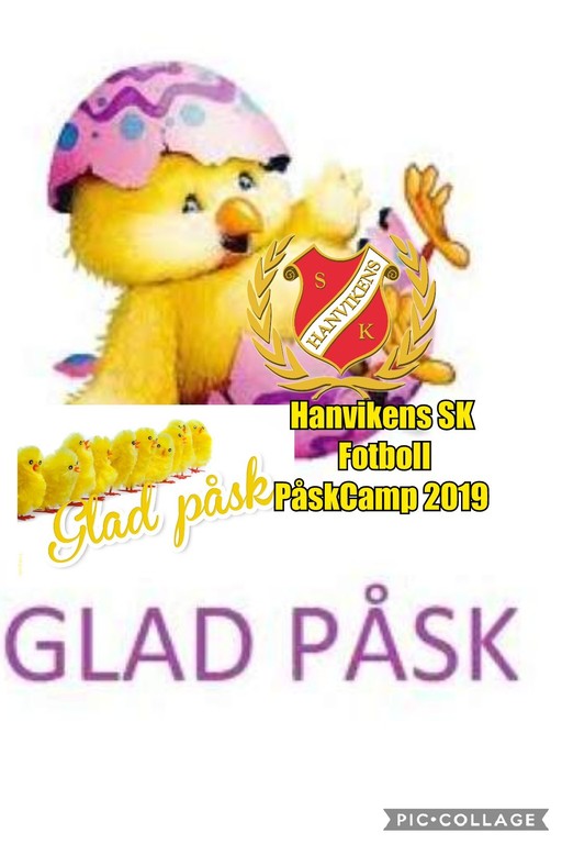 Hanvikens sk p skcamp 2019