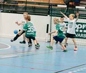 Minihb