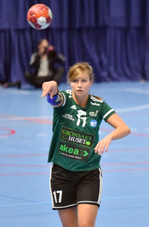 Sk rmavbild 2020 11 07 kl. 16.45.14