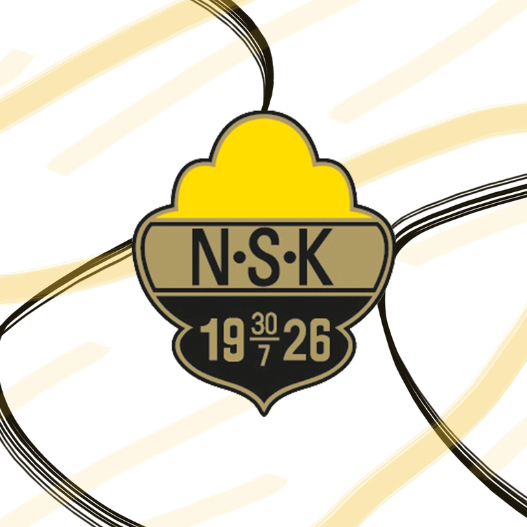 Nskesportig