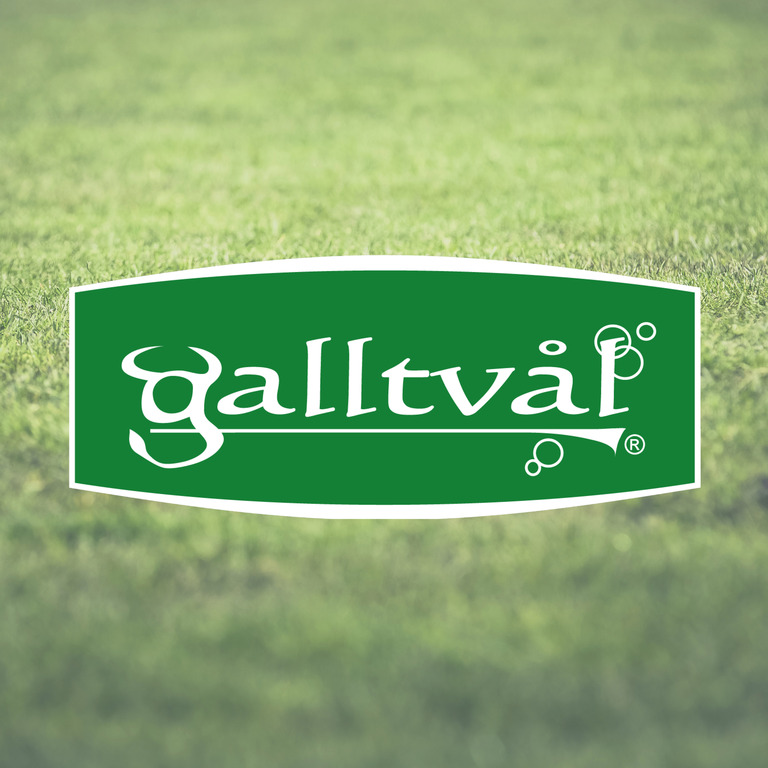 Galltval jpg