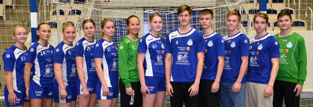 Svericupen06 besk