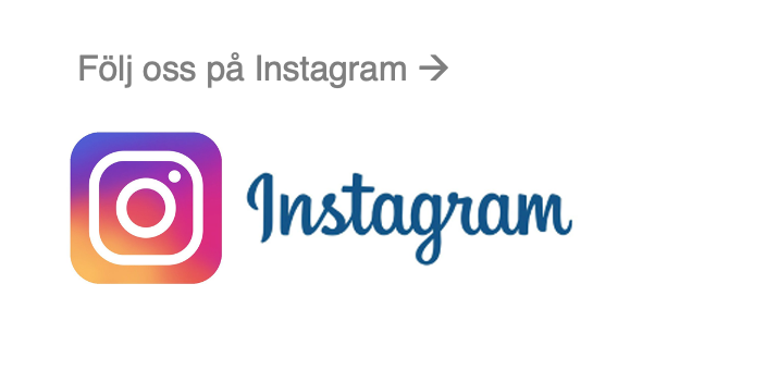 Insta ikon