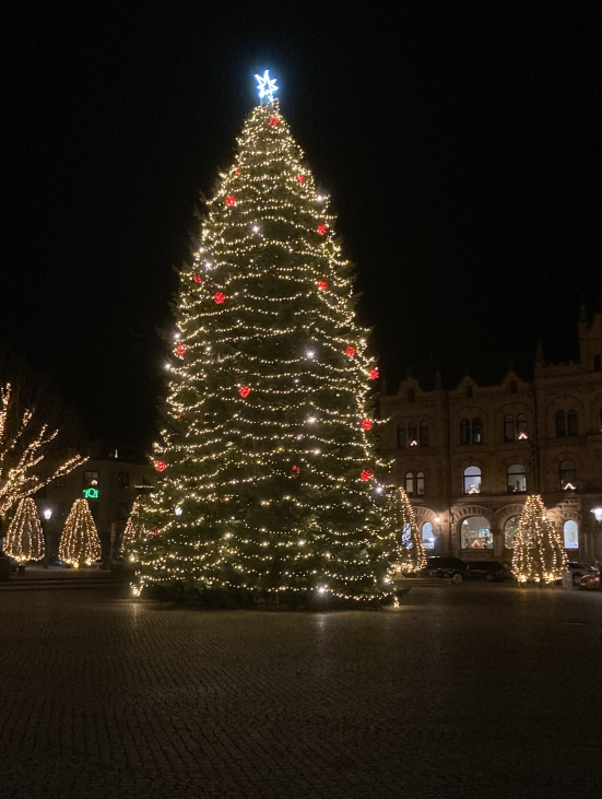 Julgran