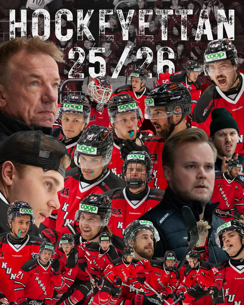 Md hockeyettan grafik