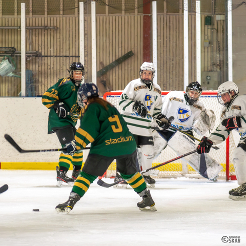 Md 20241201 sik dam a lag match vs mariehamn   december 01  2024   01