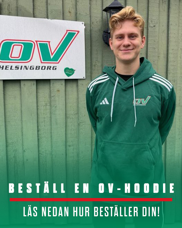 Hoodie copy