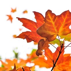 Sm square h stl v stor