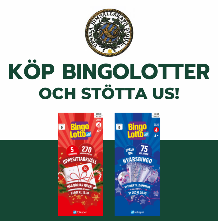 Reklam bingolotto 2025 liten