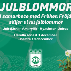 Sm square julblommor