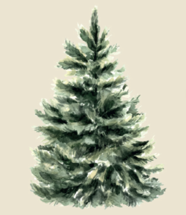 Sk rmavbild 2025 11 23 kl. 13.13.37