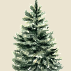 Sm square sk rmavbild 2025 11 23 kl. 13.13.37