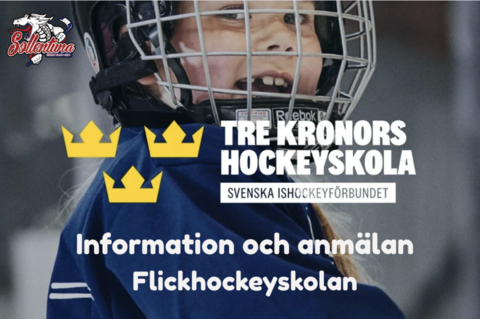 Md sk rmavbild 2025 12 08 kl. 16.23.50