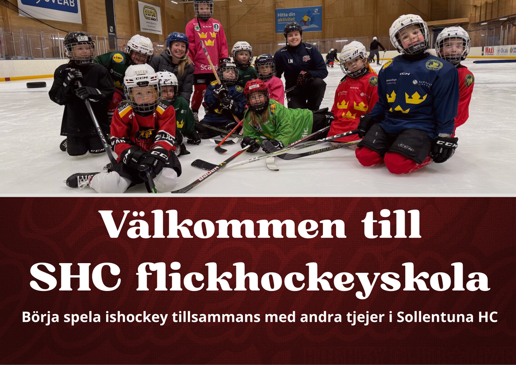 Flickhockeyskolan